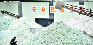 传送带“吐”出了一座座碎片“玻璃山”