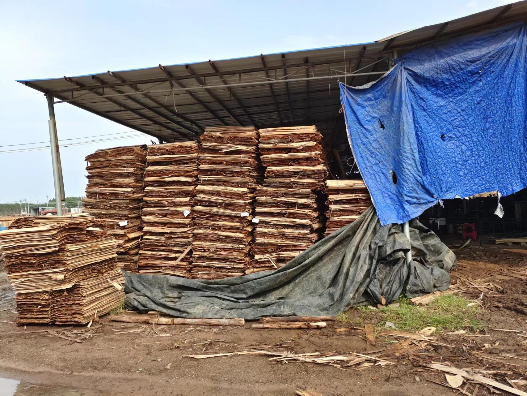 供应湛江84.85m³单板