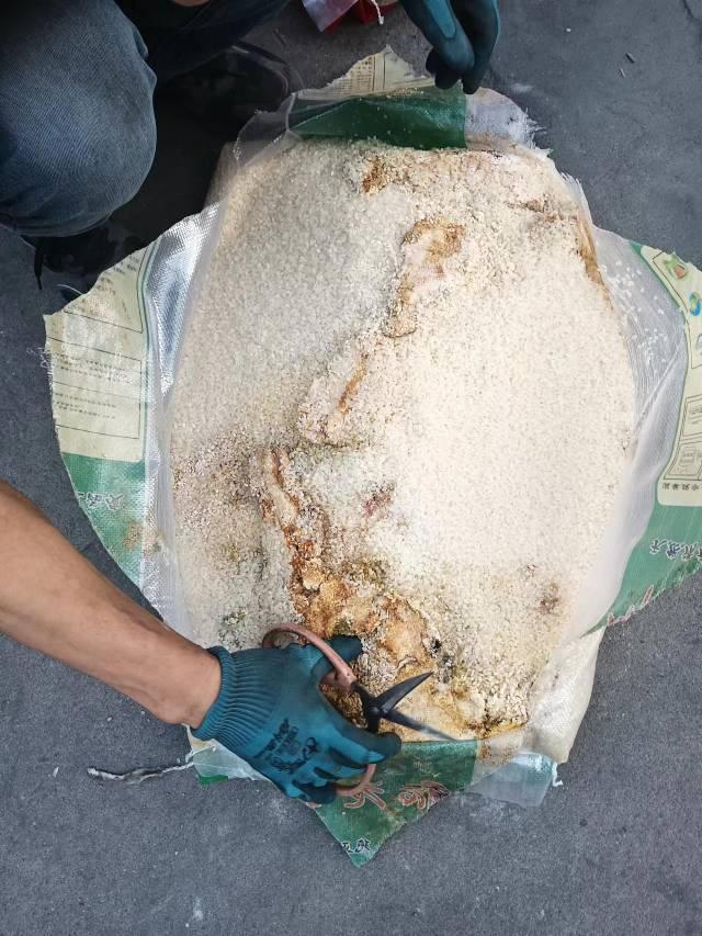 供应温州11.125吨袋装大米