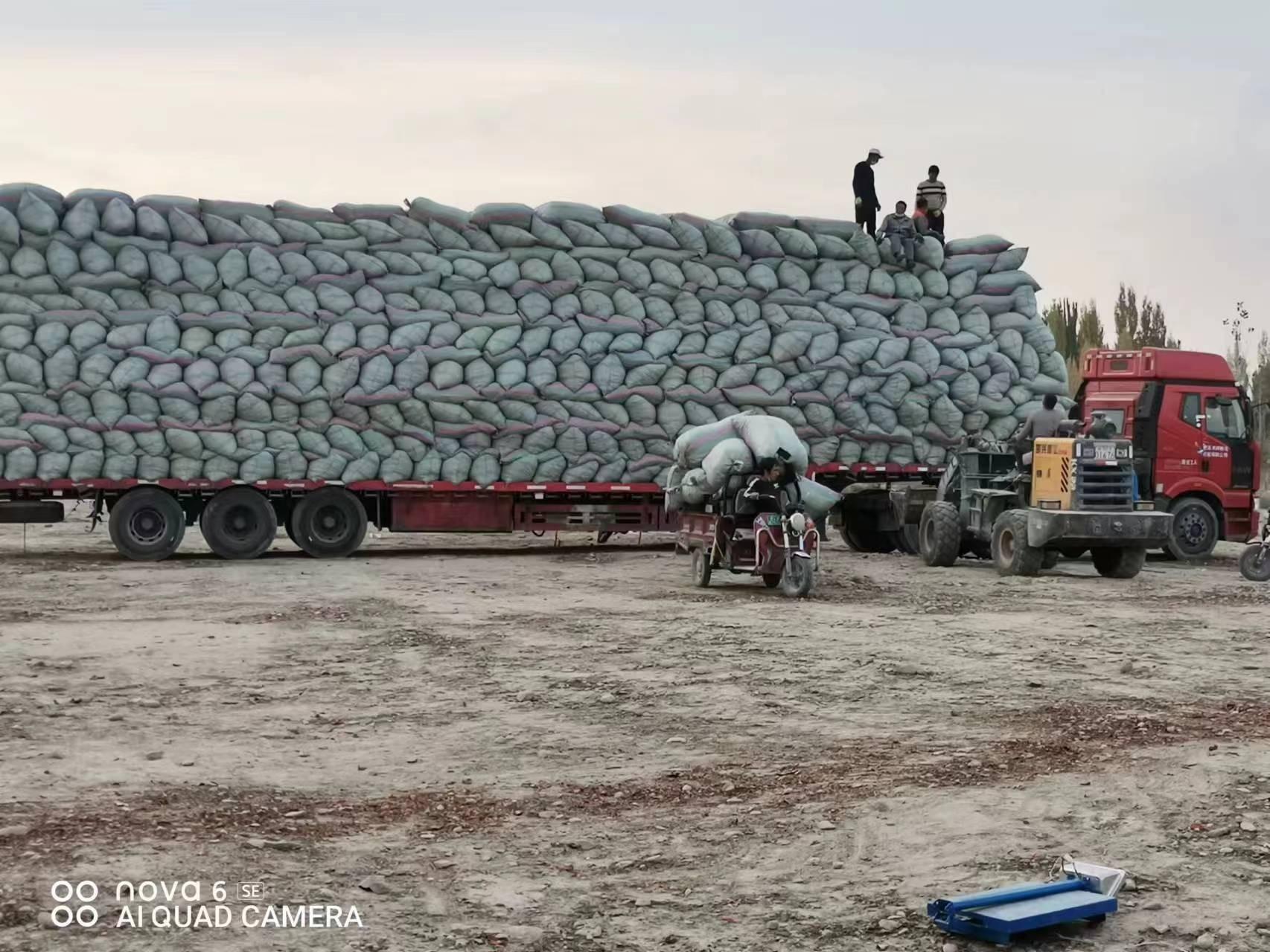 供应青岛31720千克辣皮子