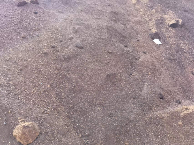 供应山东青岛约170吨巴旦木果皮粉